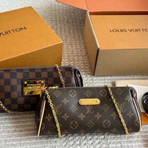 LV Bag